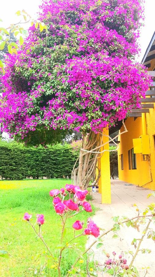 Maison d'hôtes Casa Felice à La Serena Extérieur photo