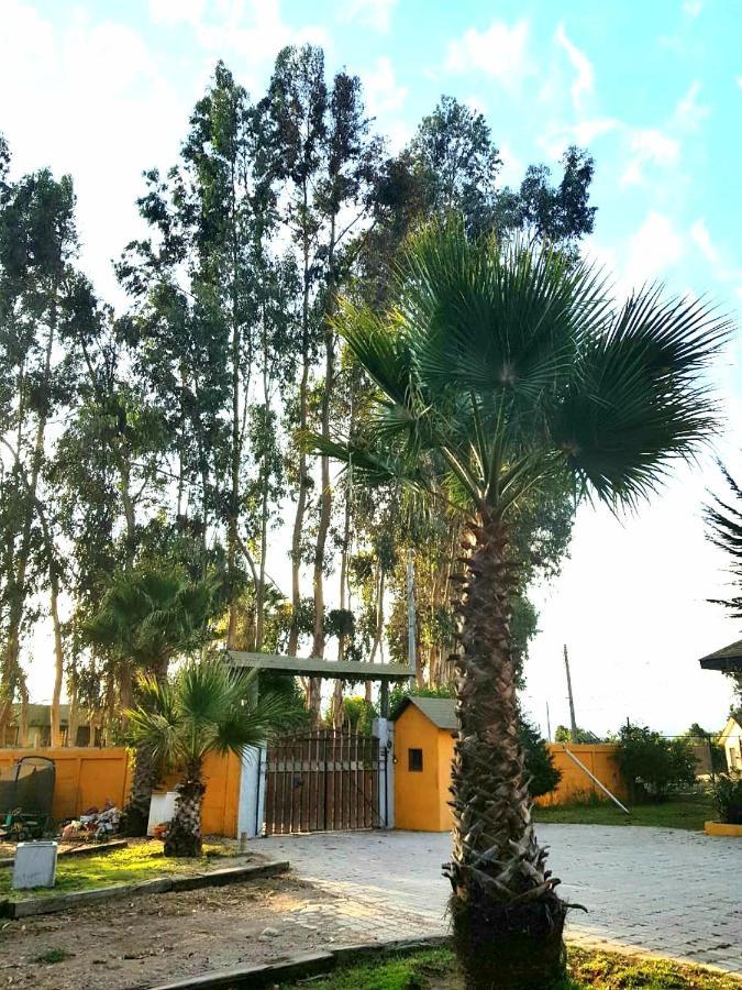 Maison d'hôtes Casa Felice à La Serena Extérieur photo
