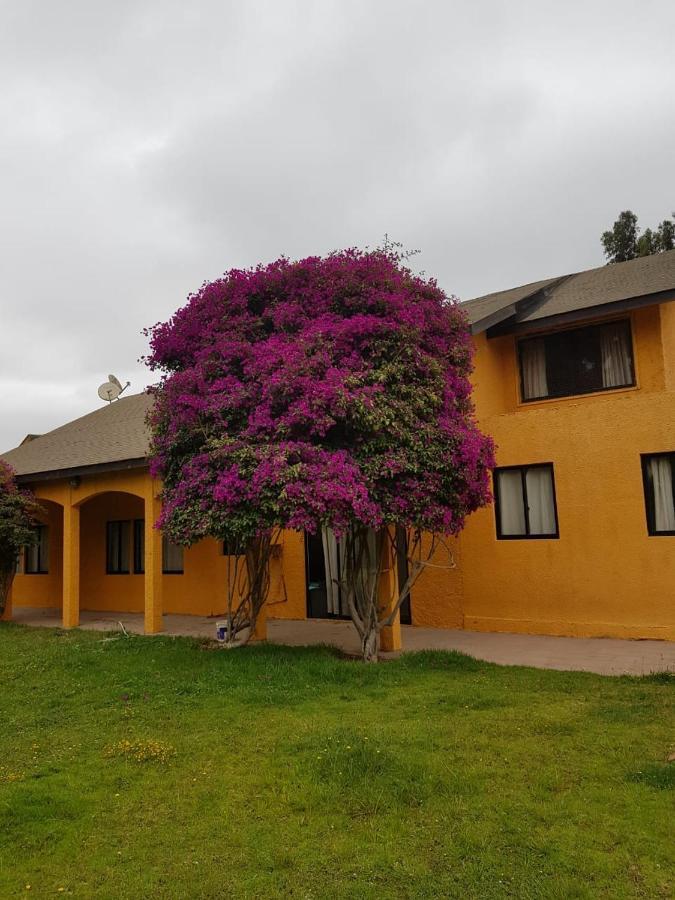 Maison d'hôtes Casa Felice à La Serena Extérieur photo