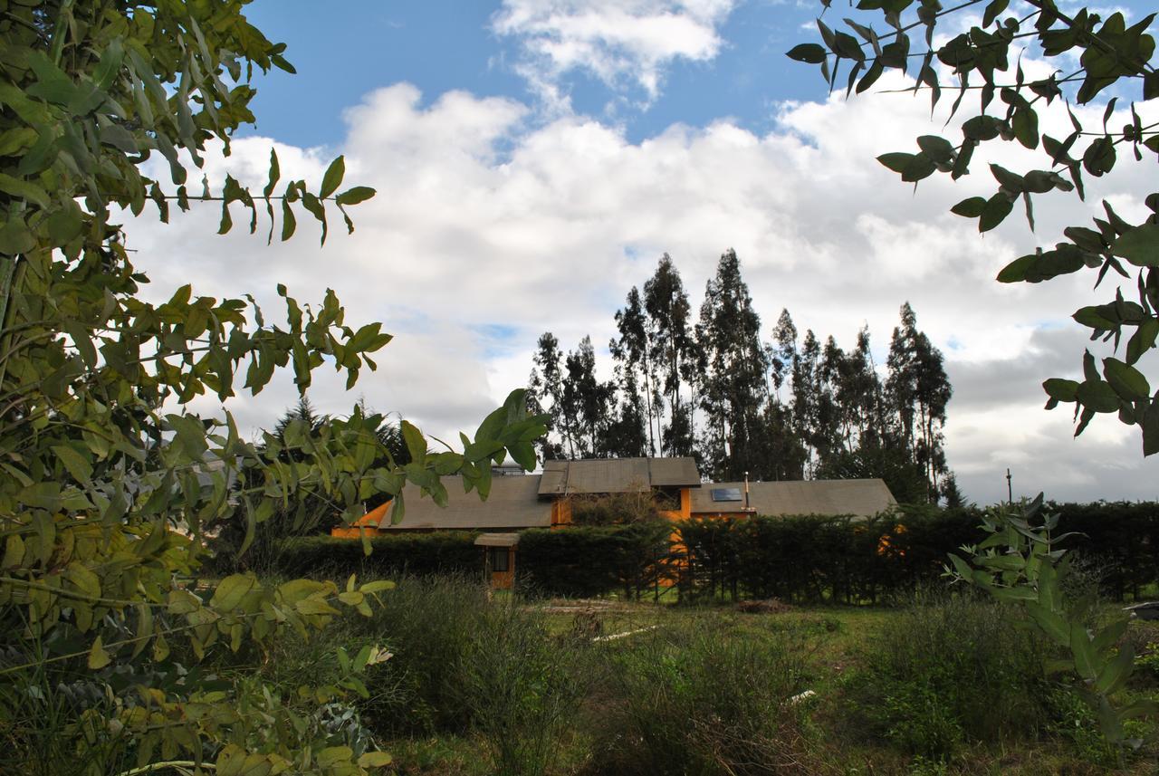 Maison d'hôtes Casa Felice à La Serena Extérieur photo