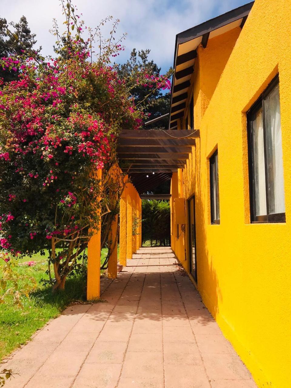 Maison d'hôtes Casa Felice à La Serena Extérieur photo